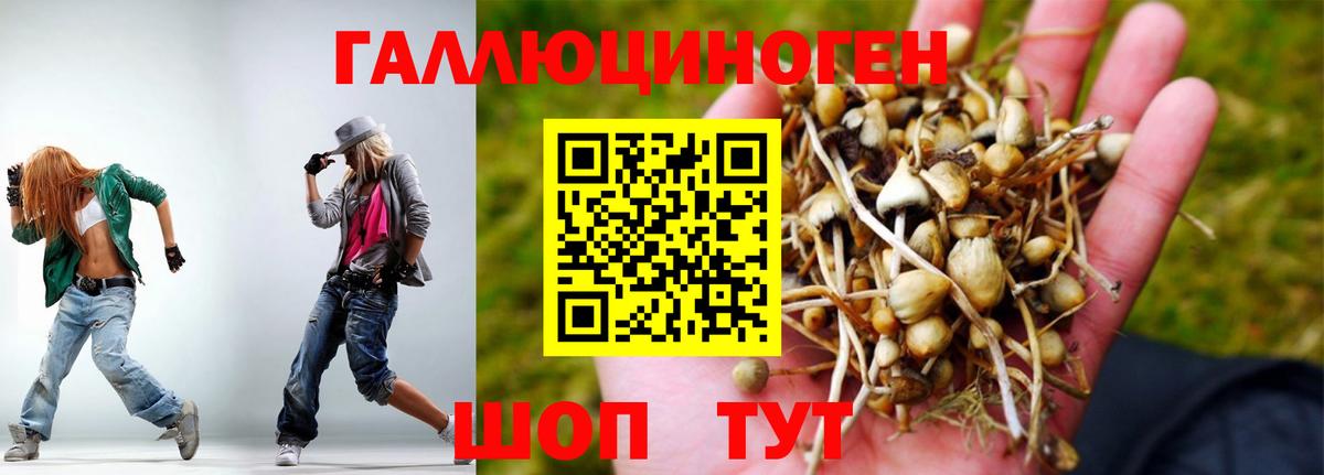 Псилоцибиновые грибы Psilocybe Можга