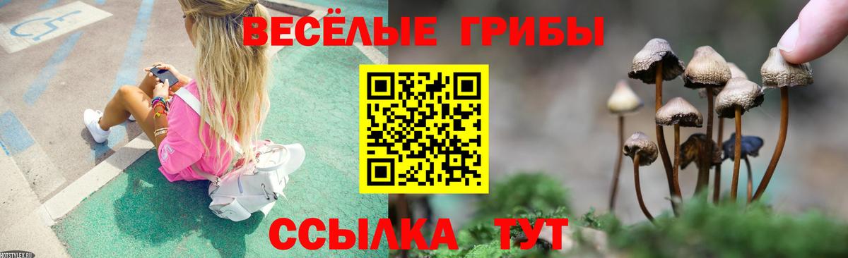 Можга  Галлюциногенные грибы мицелий  Галлюциногенные грибы Magic Shrooms  Вход с VPN 